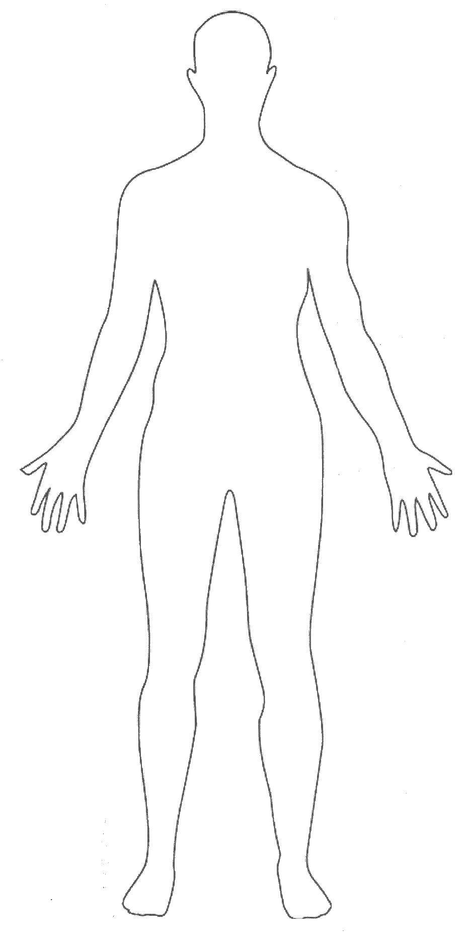 Раскраска контура людей - мужчина с руками и ногами (контур, мужчина, ноги)