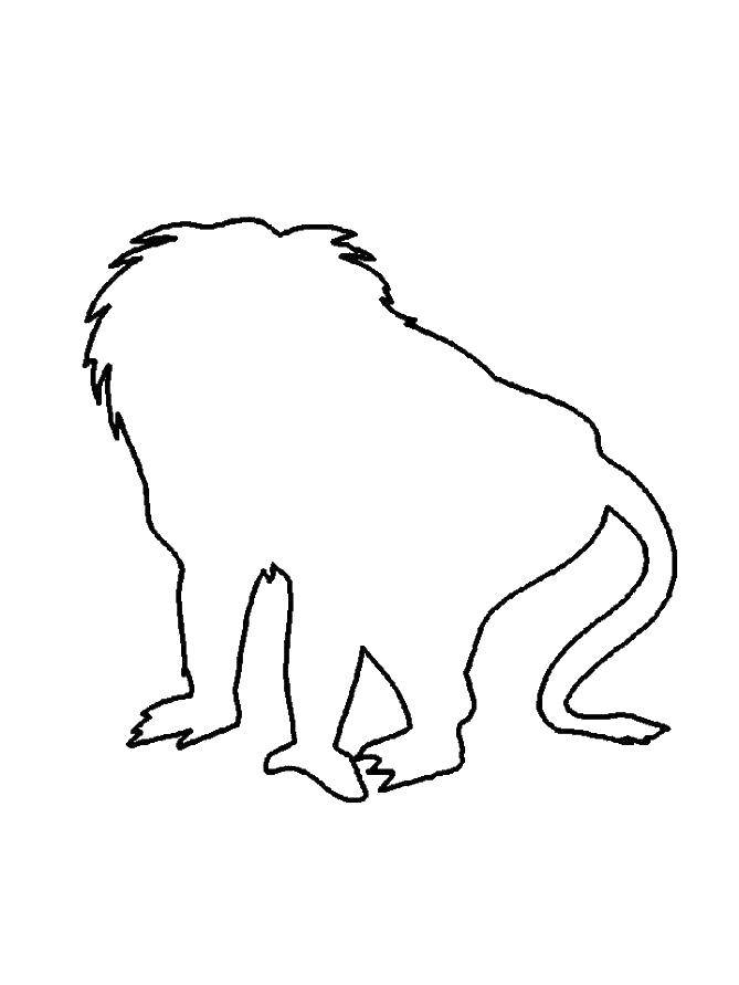 Контурная раскраска обезьяна для детей (обезьяна)