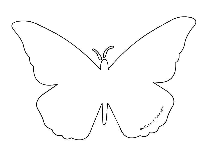 Контур бабочки для вырезания из бумаги (бабочки, контуры)