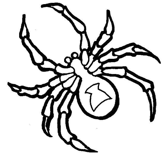 Контур паук контуры (пауки, шаблоны)