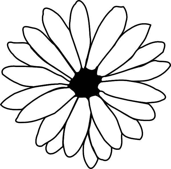 Раскраска цветка ромашки для вырезания контура (ромашки, контуры)