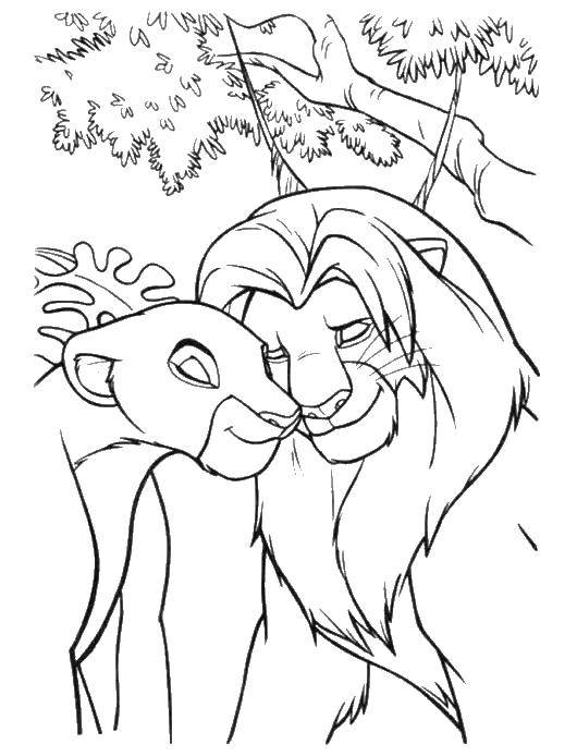 Раскраска с изображением львенка Симбы из мультфильма Король Лев (львы)