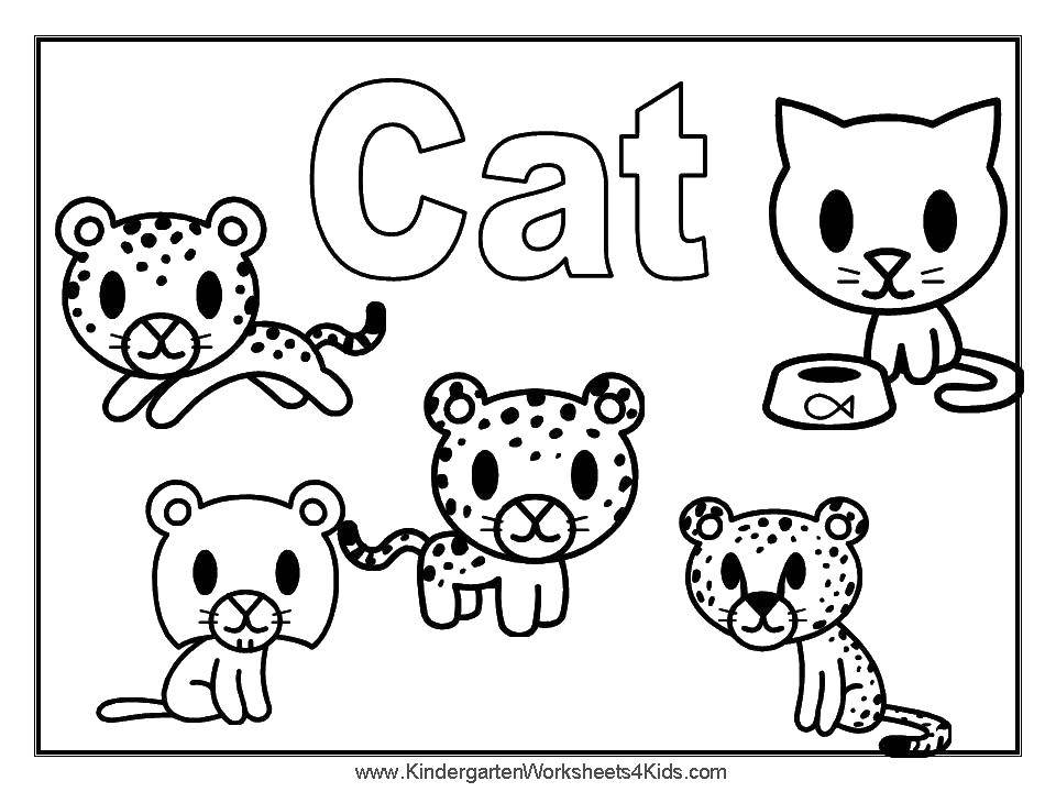 Раскраска с котенком на английском языке (Коты, Котята, Английский)