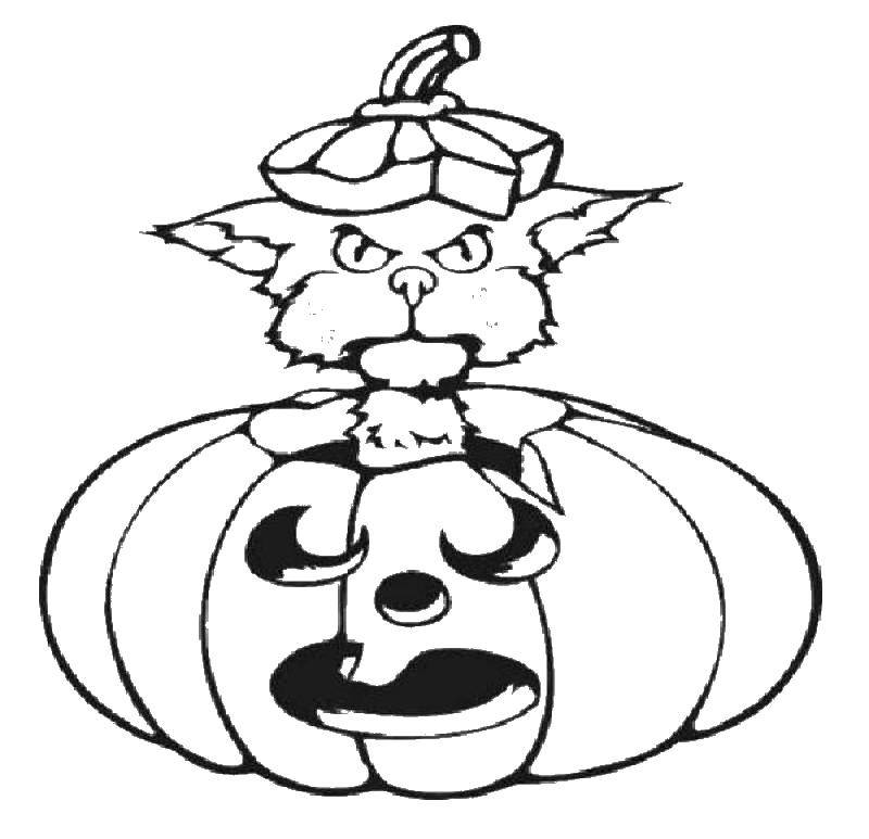 Раскраска тыквы на Хэллоуин (тыква, кошки)