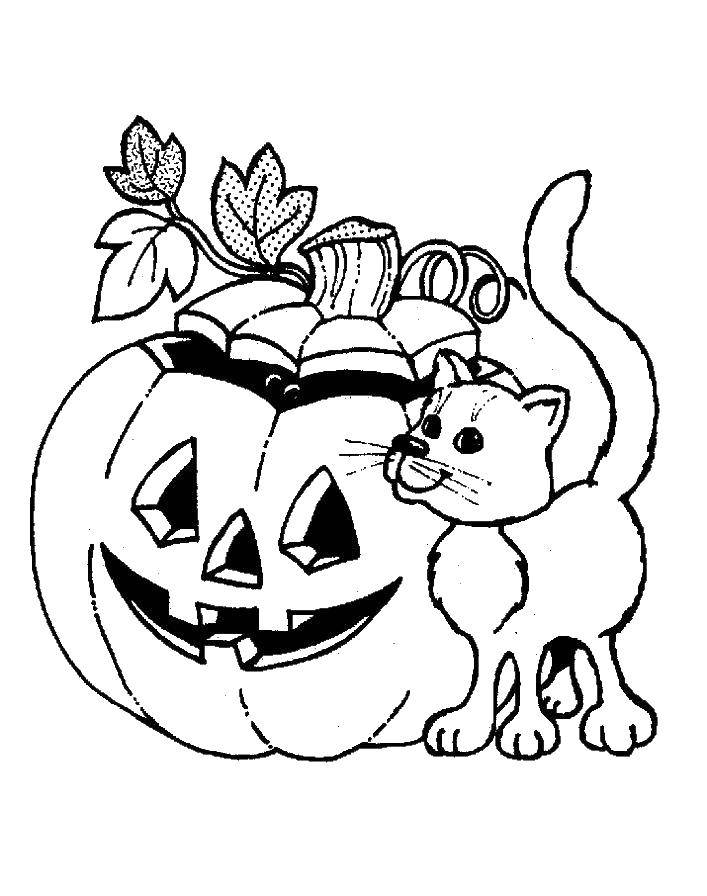 Раскраска на Хэллоуин: кот и тыква (кот, тыква)