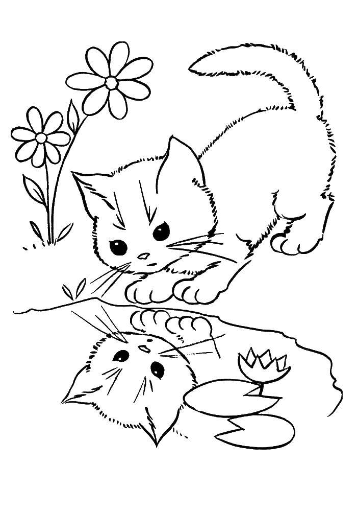 Раскраски котят и щенков - отражение детства (котята, щенки)