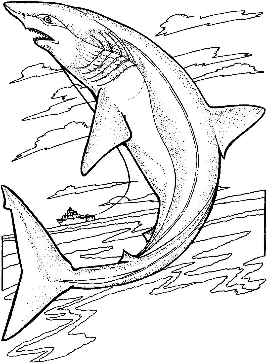 Раскраска красивой акулы для мальчиков бесплатно (акула)