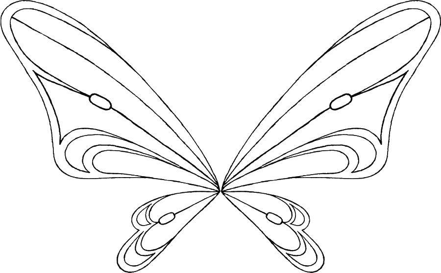 Раскраска крылья бабочки для девочек (крылья, крылышки, бабочки)