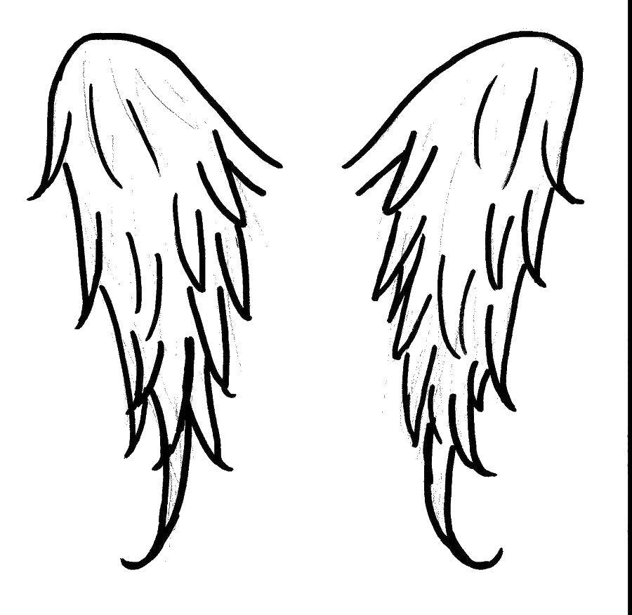 Раскраска крылья ангела в контуре (крылья, ангел, контур)