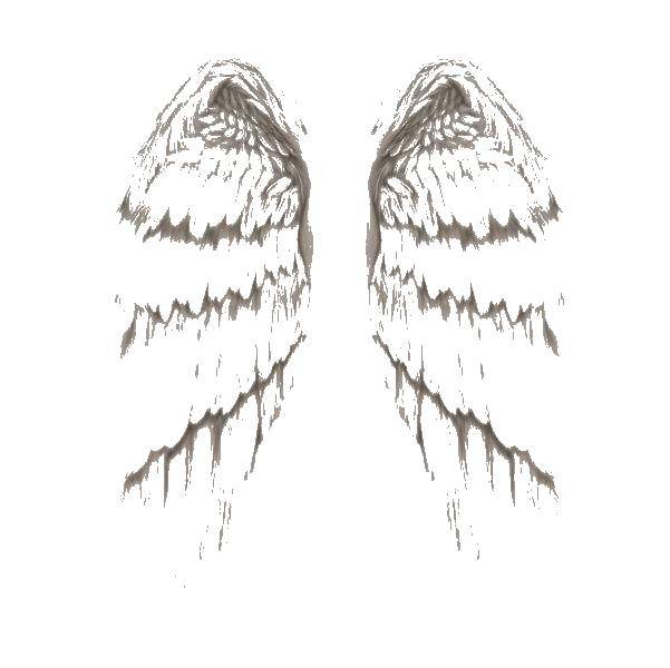 Раскраски крылья ангел для девочек (крылья, ангел)