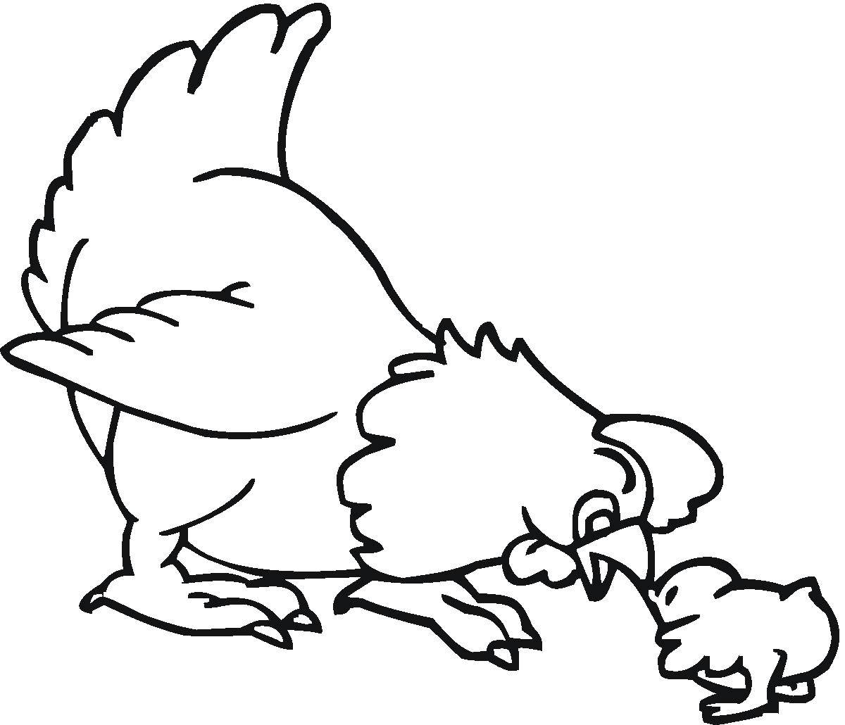 Раскраска мамы с ребенком курицы и цыпленка для детей (мама, курица, цыпленок)