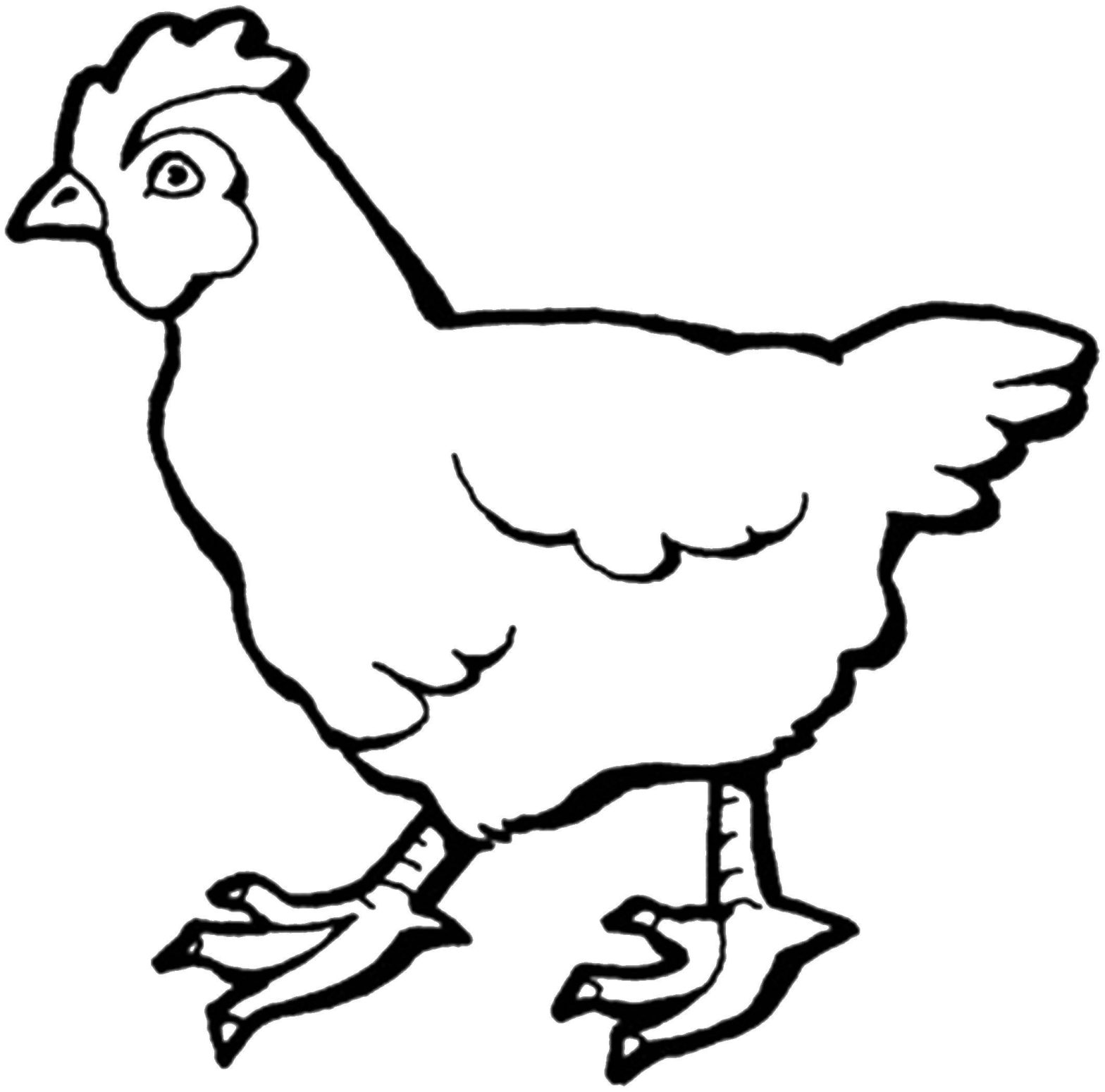 Раскраска Курица - домашнее животное для детей (Курица, птица)