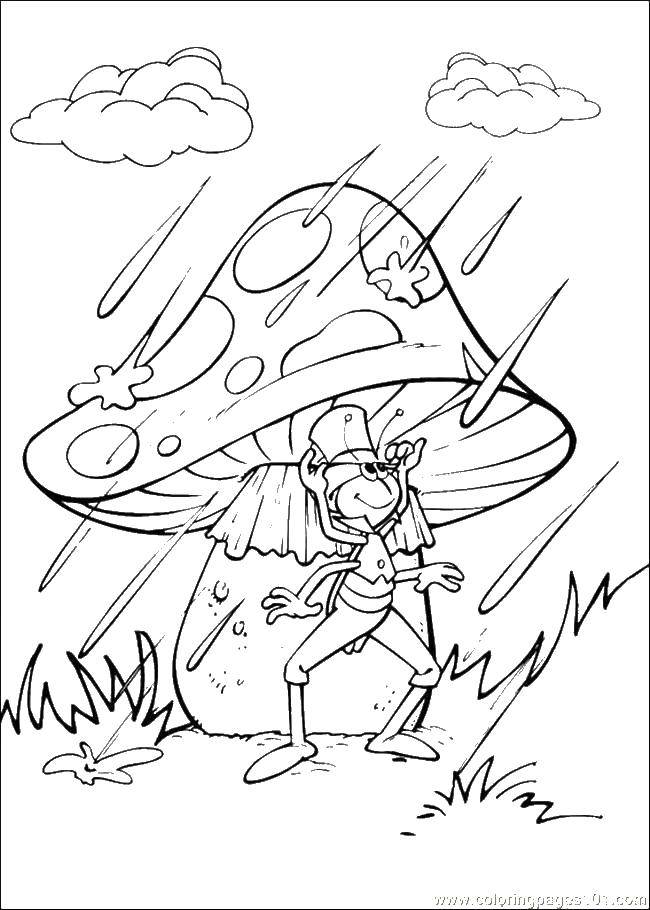 Раскраска с кузнечиком, дождём и грибами для детей (кузнечик)