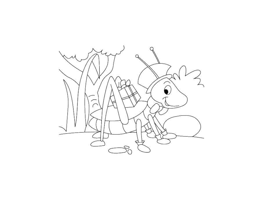 Раскраска на тему насекомых и кузнечиков для детей (кузнечик, развивающая, познавательная)