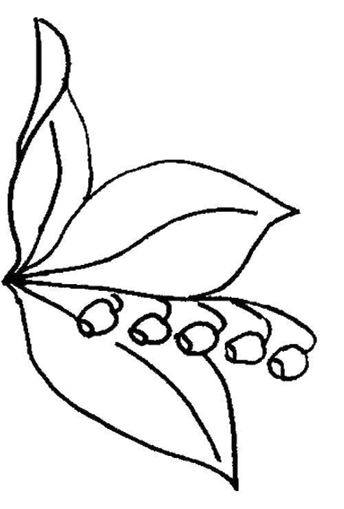Раскраски цветов ландышей (ландыши)