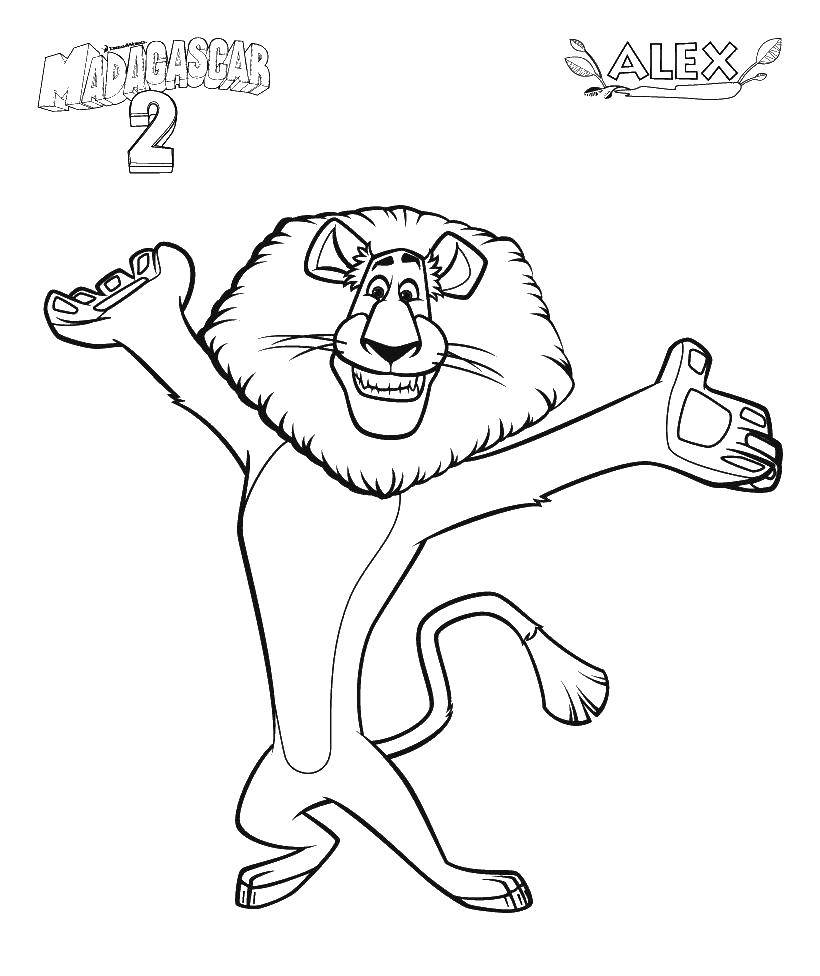Раскраска с львом Алексом из мультфильма Мадагаскар для детей (лев, Алекс, грива)
