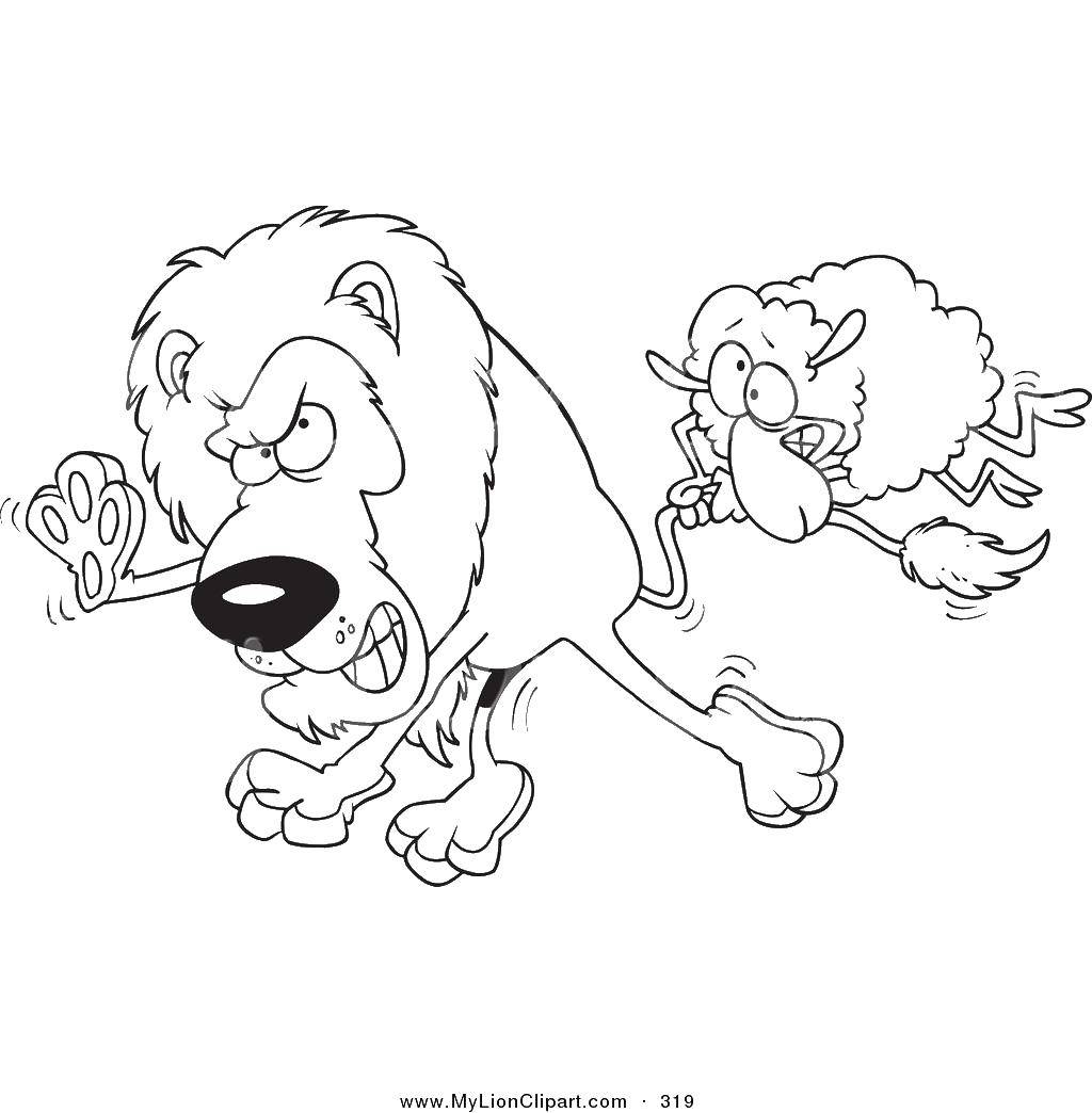 Раскраска льва и овечки для детей (лев, овечка)