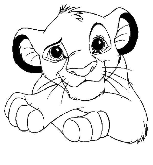 Раскраска с изображением Симбы из мультфильма Король Лев (симба)