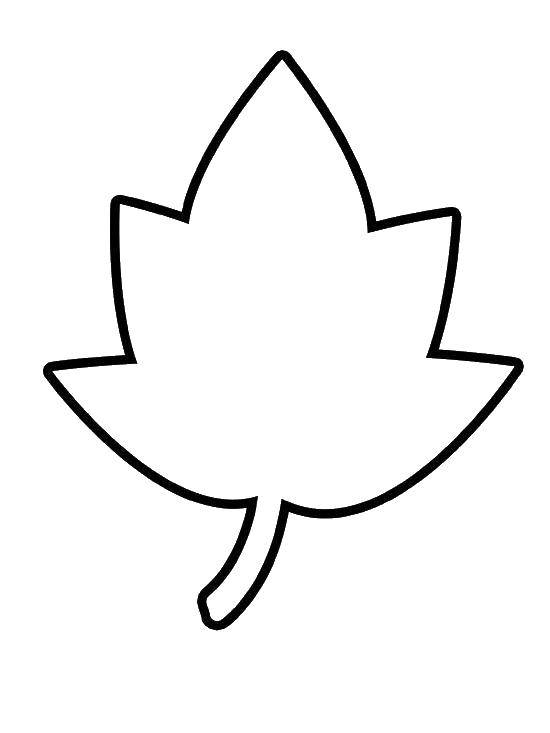 Раскраска с контурами листьев для детей (контуры)