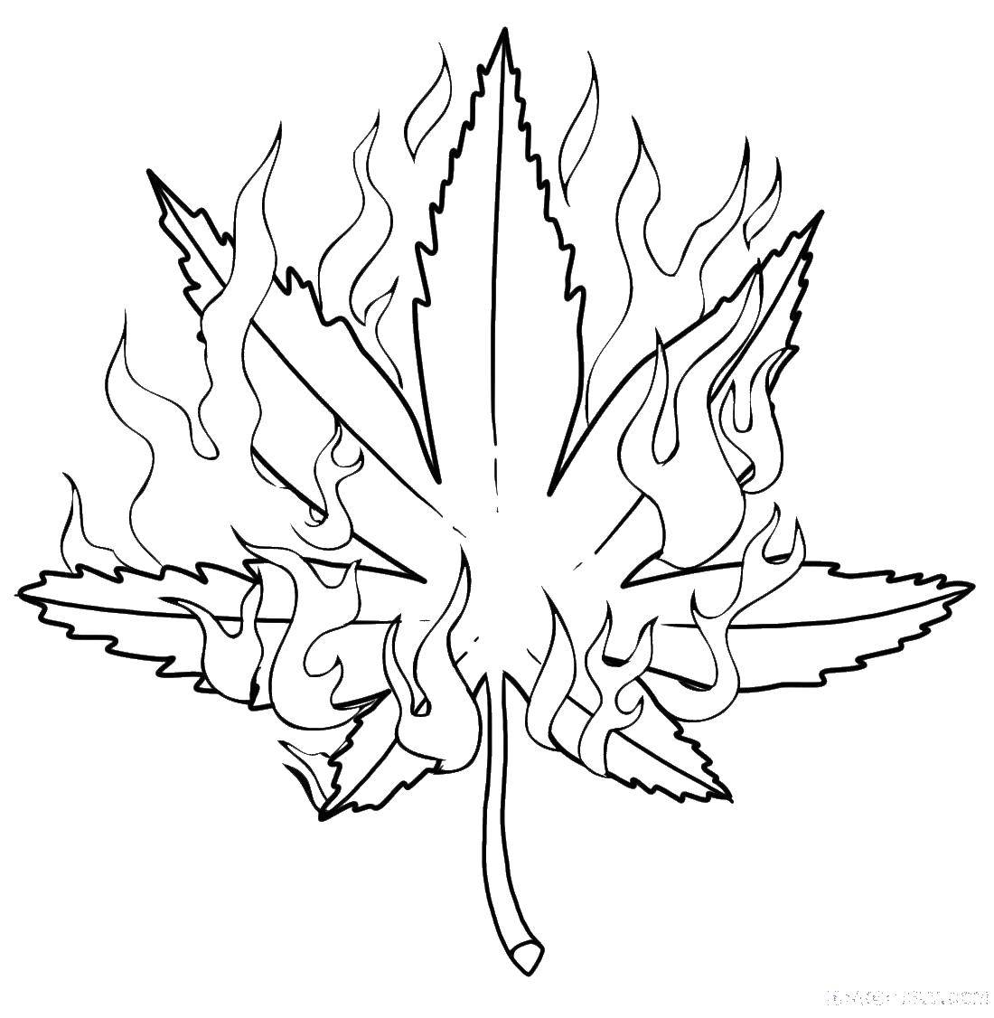 Раскраска с изображением листьев листка, огня и пламени (листья, пламя, сказки)