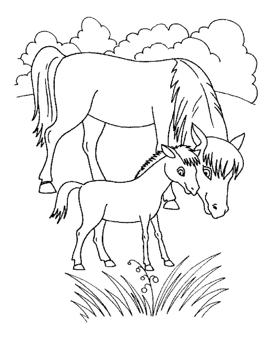 Раскраска лошадка с мамой на фоне цветочков для девочек (лошадка, цветочки, девочки)