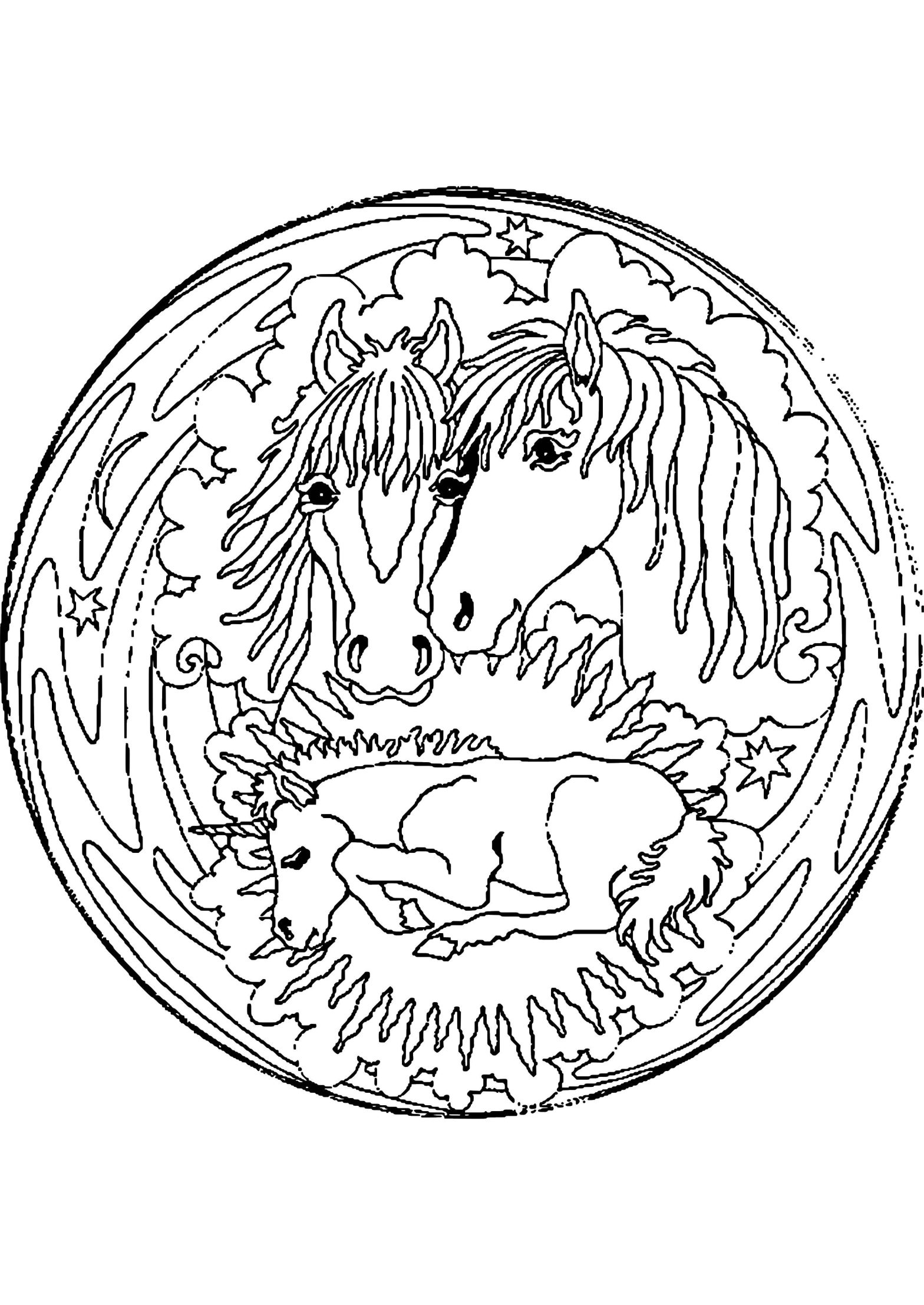 Раскраска лошади, коня и жеребенка для детей (жеребенок)