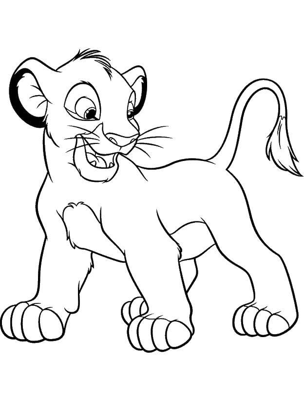 Раскраска из мультфильма Король Лев с героями Тимоном и Пумбой (симба)
