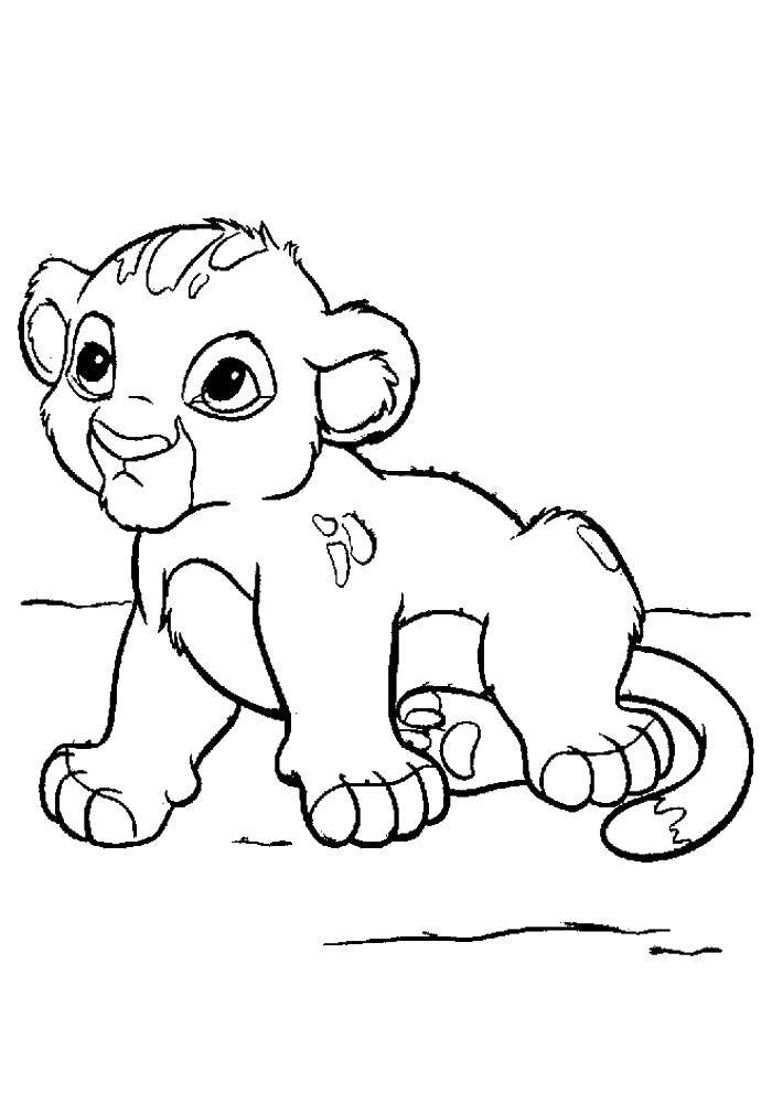 Раскраска с изображением Короля Льва Симбы, Тимона и Пумбы (Симба, Тимон, Пумба, дети)