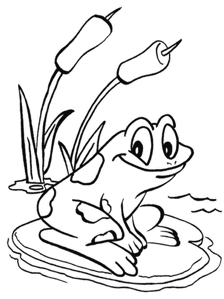 Раскраска лягушки Лягушка для детей (лягушки)