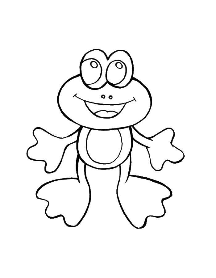Раскраска лягушка для детей (лягушка)