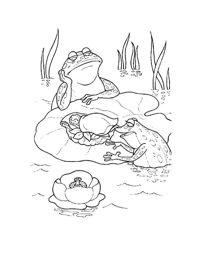 Раскраска с изображением дюмовочки и лягушек (дюмовочка, лягушки)