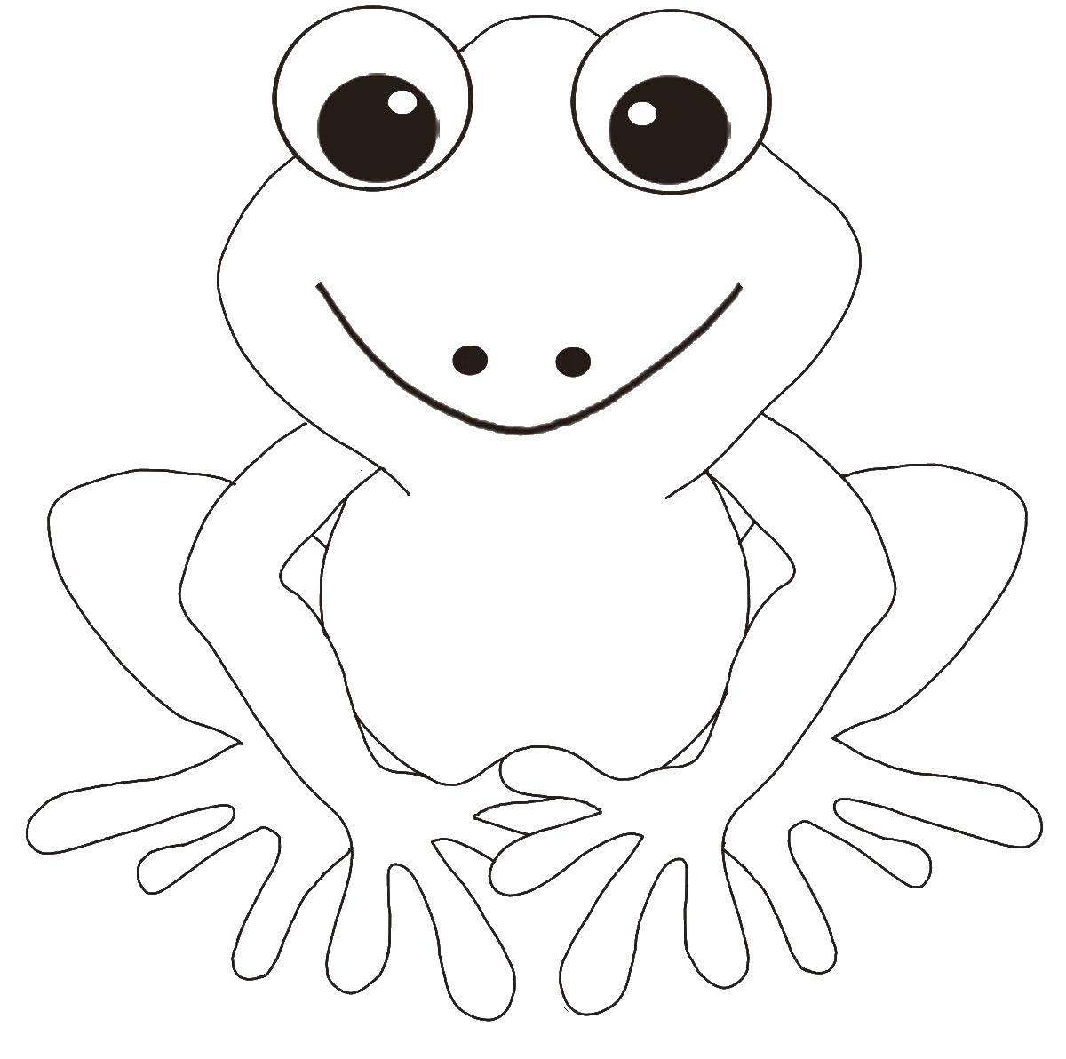 Раскраска лягушка Рептилия для детей (лягушка, развивающие)