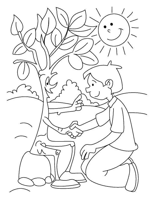 Раскраски мальчик на тему дерево и солнце (дерево, солнце)
