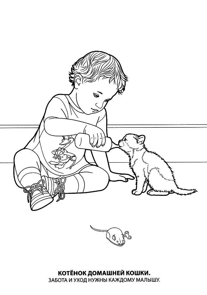 Картинка с котятами и щенками, которые кормятся играют мышкой (котята, щенки, мышка)