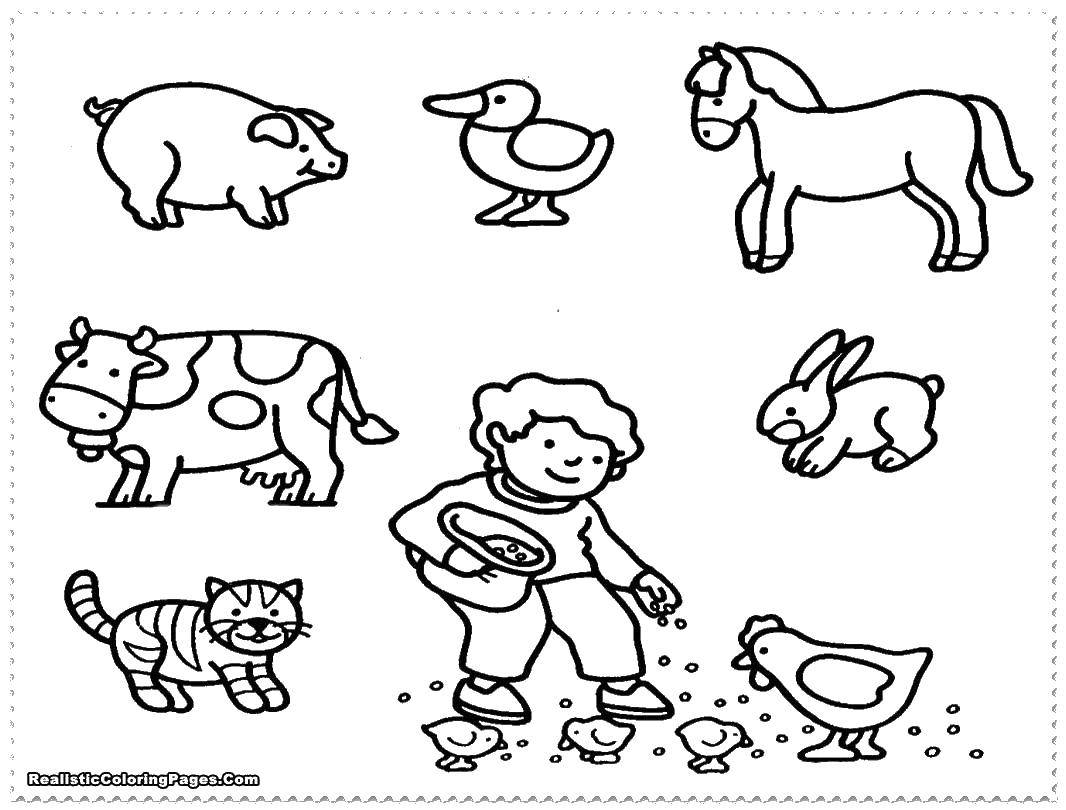 Раскраска животных для мальчиков на ферме (животные, мальчик, ферма)