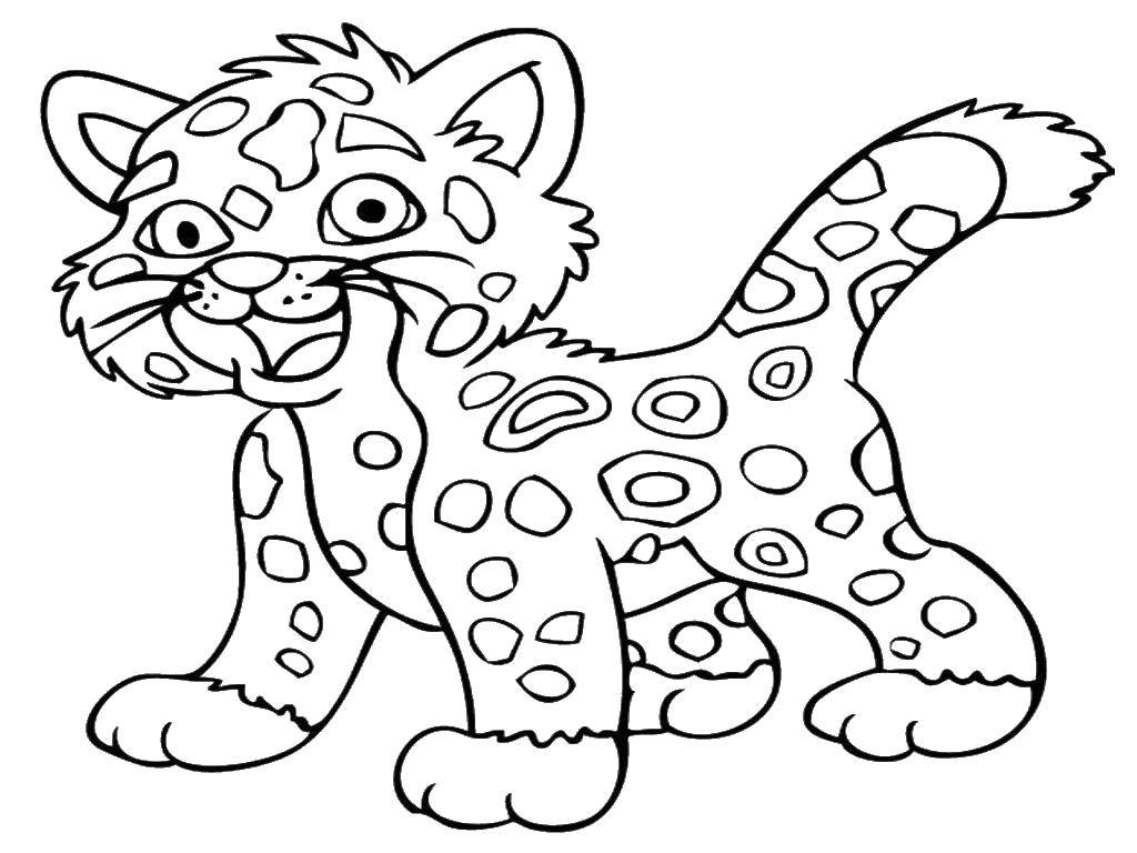 Раскраска леопарда для детей (леопард)