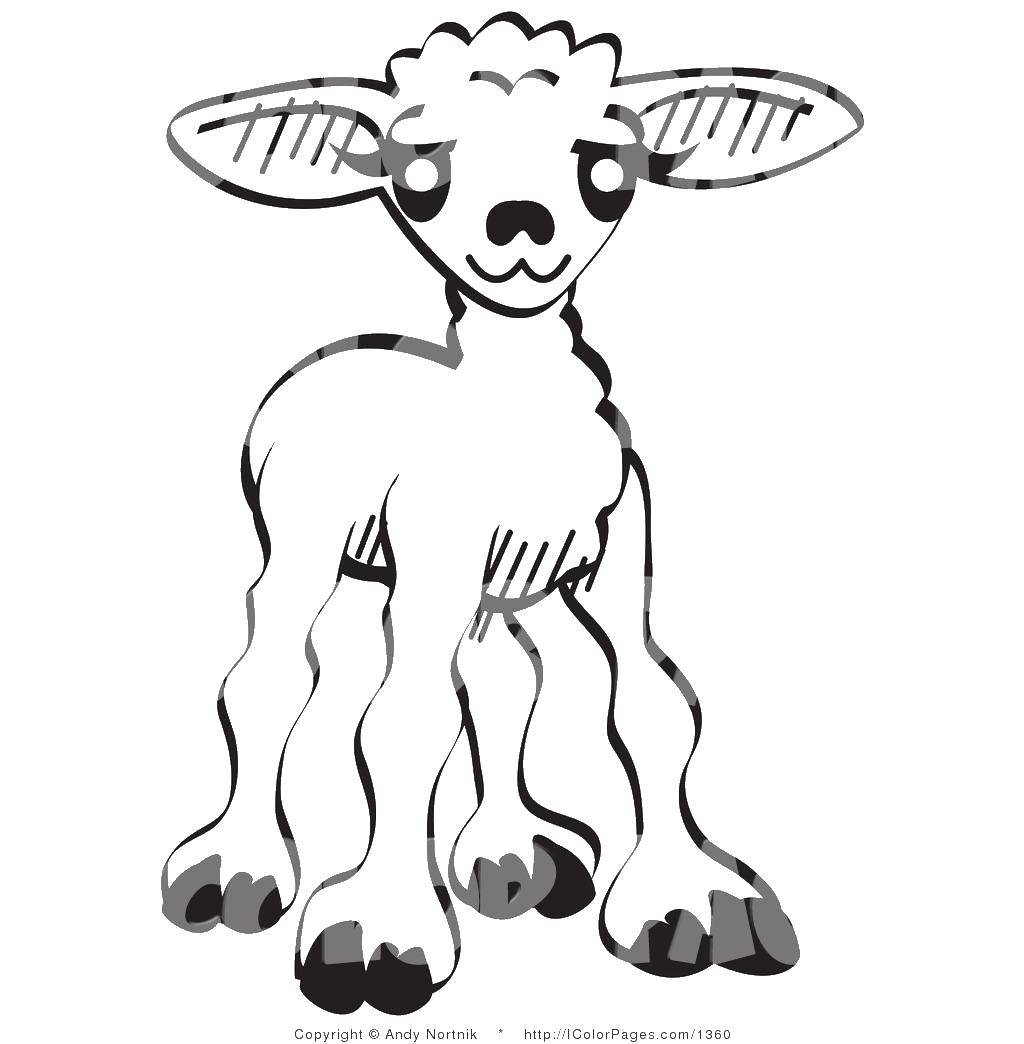 Раскраска детеныша овцы для развивающих занятий (детеныши)
