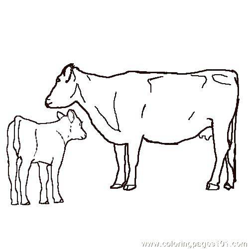 Ребенок рисует раскраску коровы (корова)