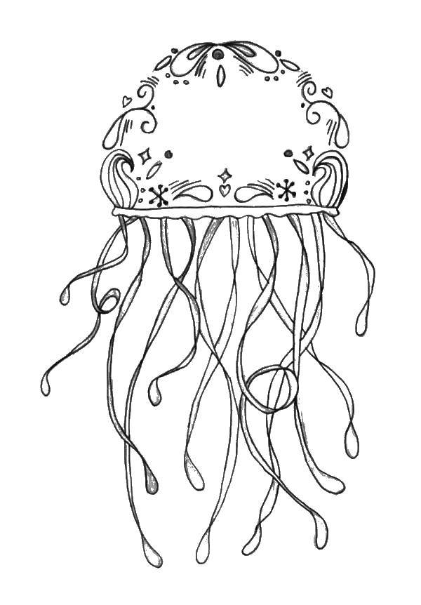 Раскраска медузы из подводного мира для детей (морское, медуза)