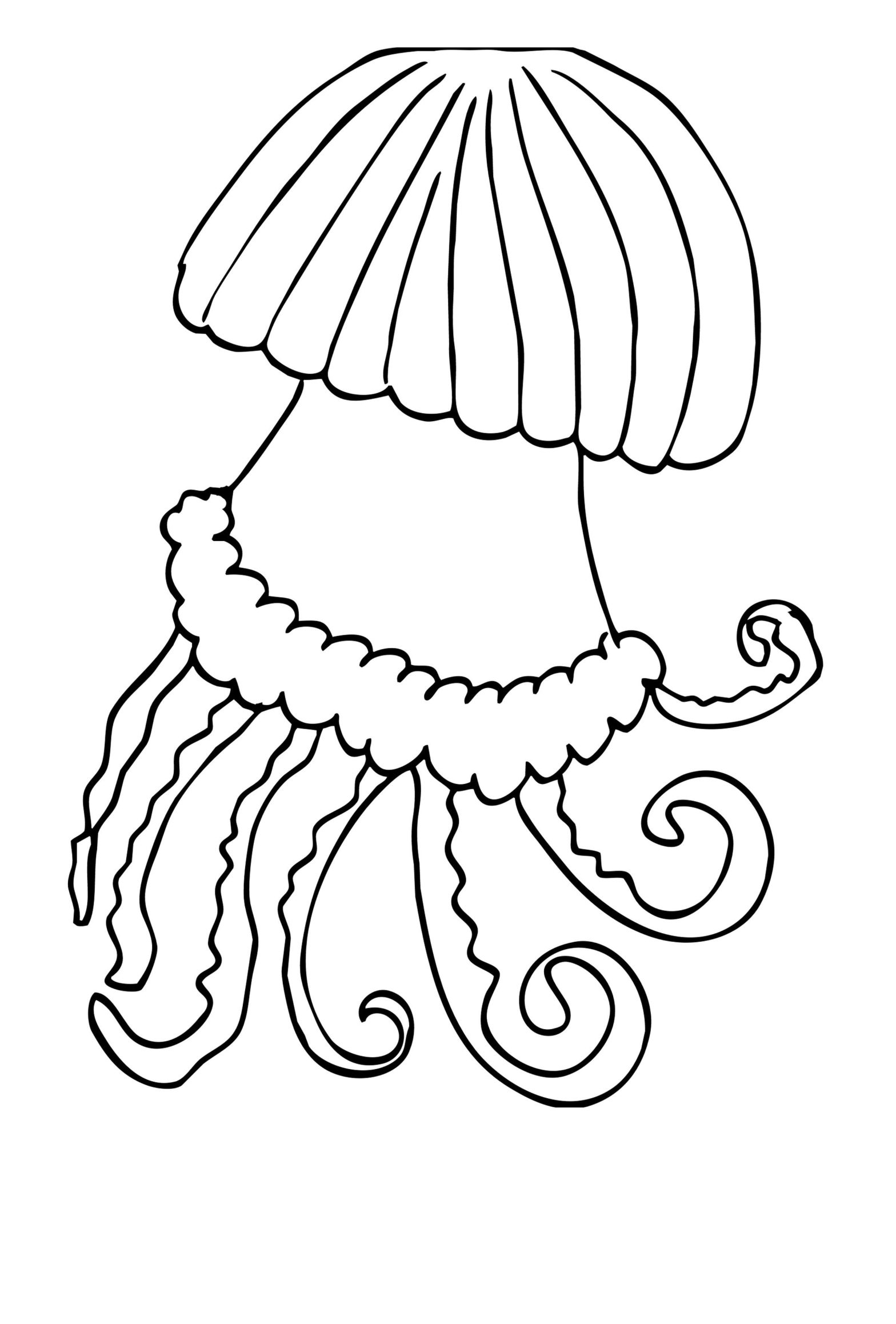 Раскраски Медуза для мальчиков (медуза)
