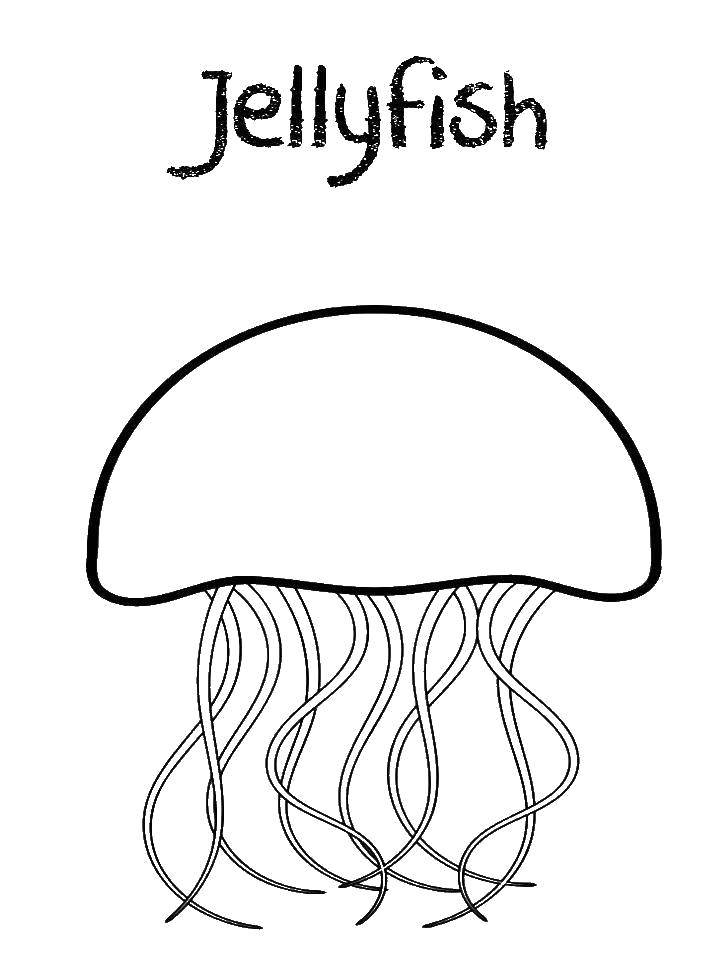 Раскраска морских обитателей - Подводный мир, медуза