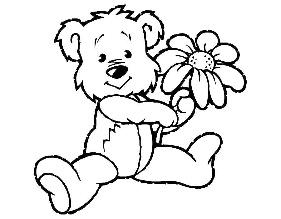 Маленький медвежонок играет с цветами (медведь, цветы)