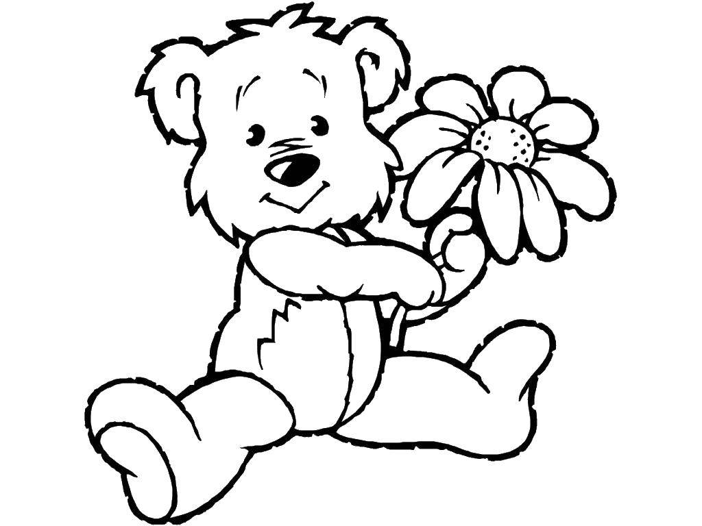 Раскраска с медведем, игрушкой и цветком для детей (медведь, цветок, дети)