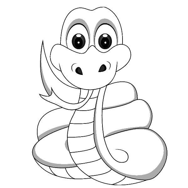 Раскраска змеи Рептилии для детей (рептилии, сказки)