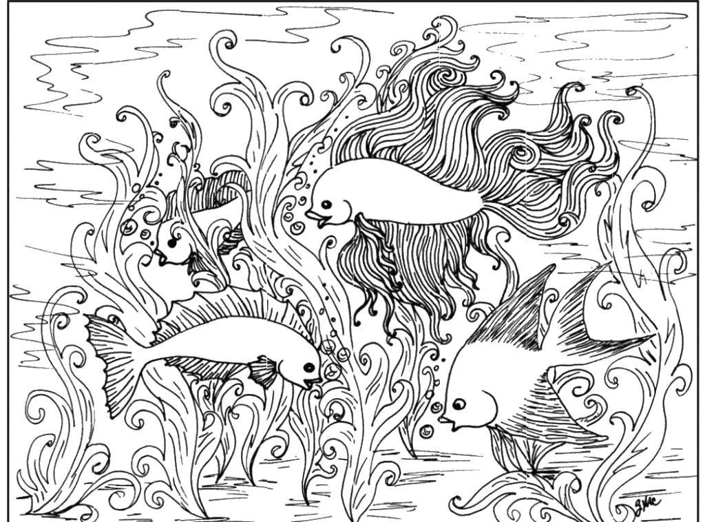 Раскраска морского подводного мира с изображением рыбы (рыба)