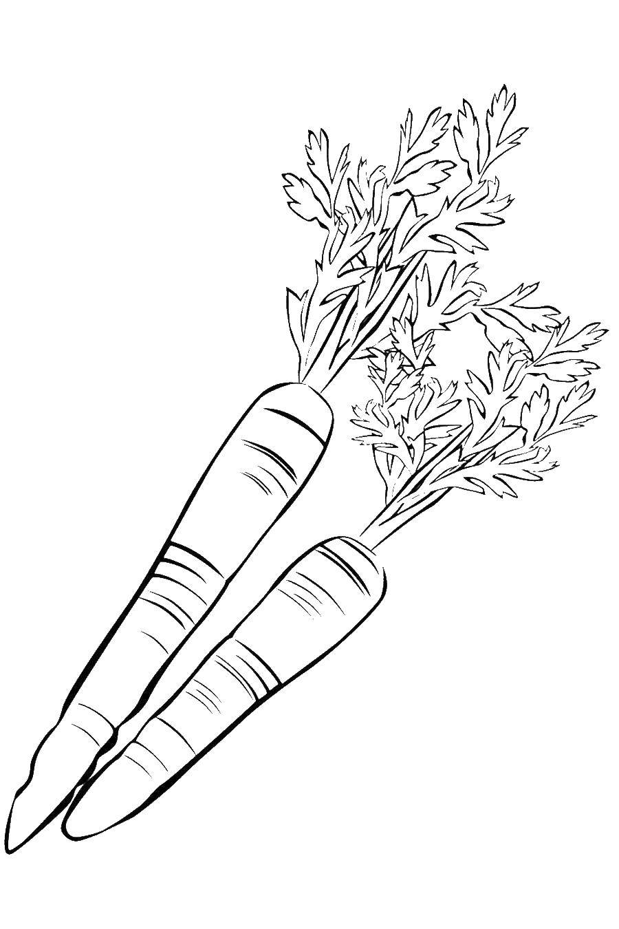 Раскраска моркови для детей (морковь, огурцы)