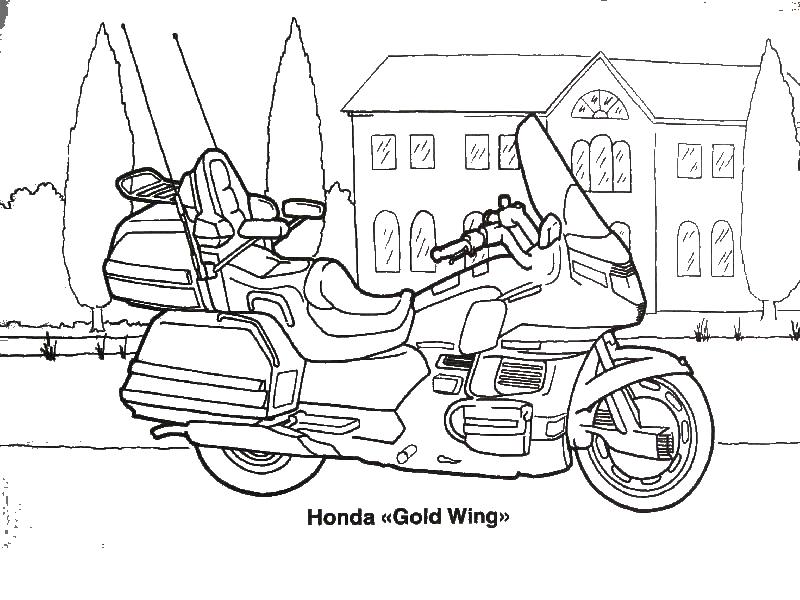 Мотоцикл Honda Gold Wing для раскраски (мотоцикл, Honda)