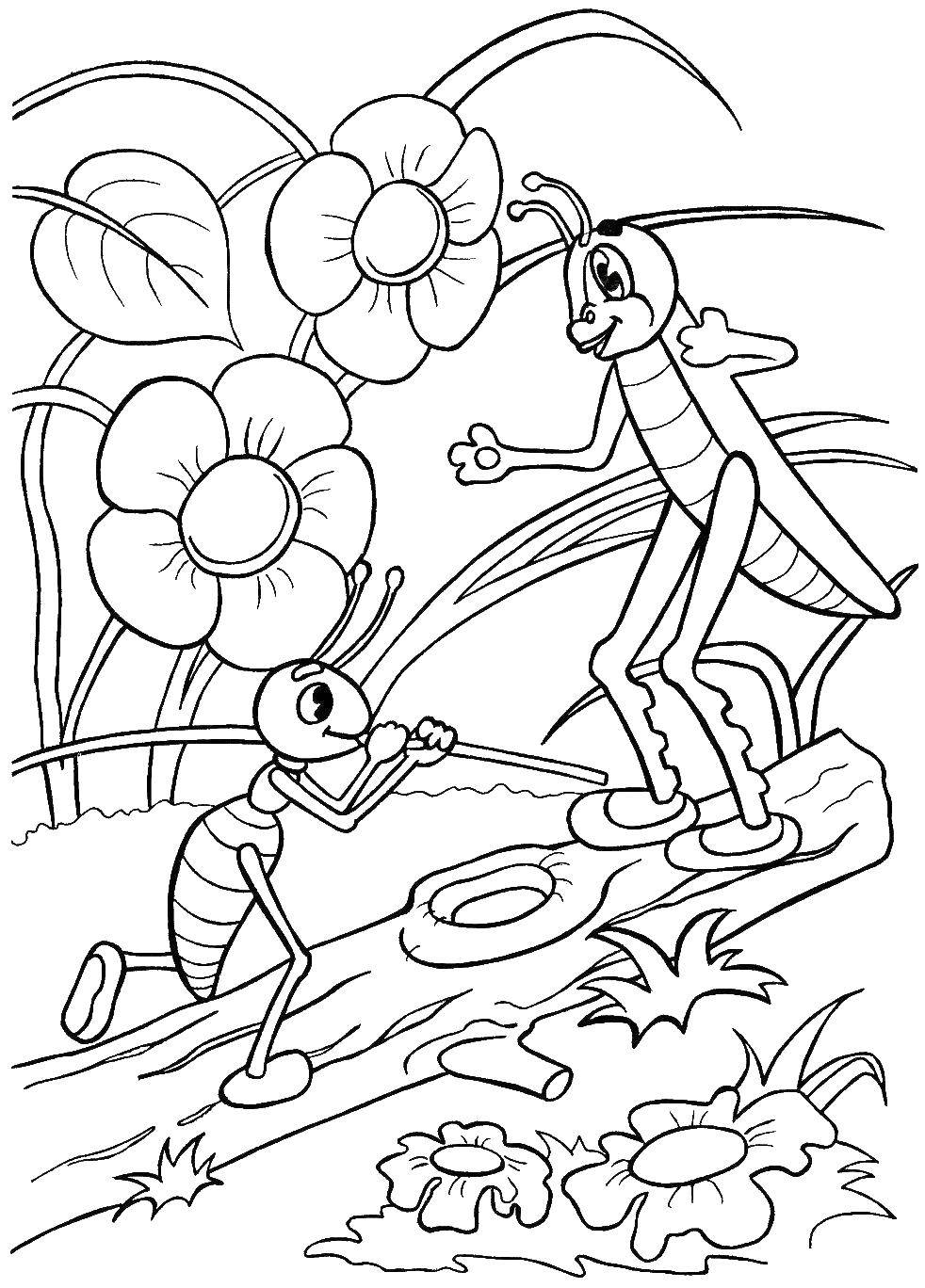 Раскраски Сказки Муравей, кузнечик для детей всех возрастов (сказки, муравей, кузнечик)