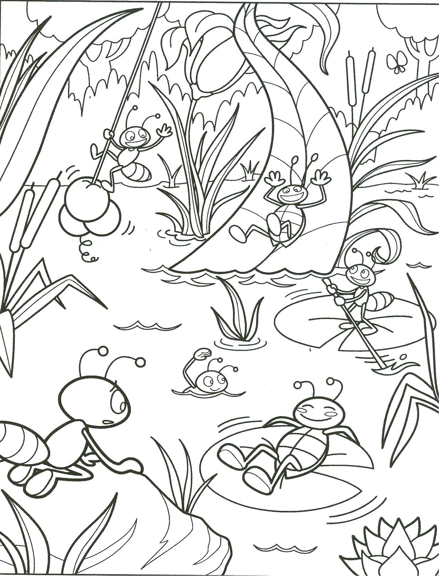 Раскраска на тему насекомые: муравей, пруд (пруд)