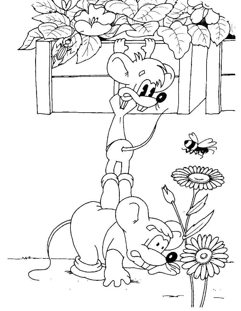 Раскраска кота Леопольда для детей (кот, Леопольд)